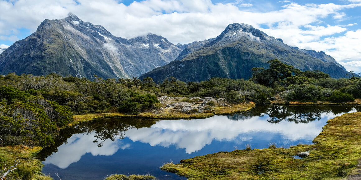 Fjordy Milford