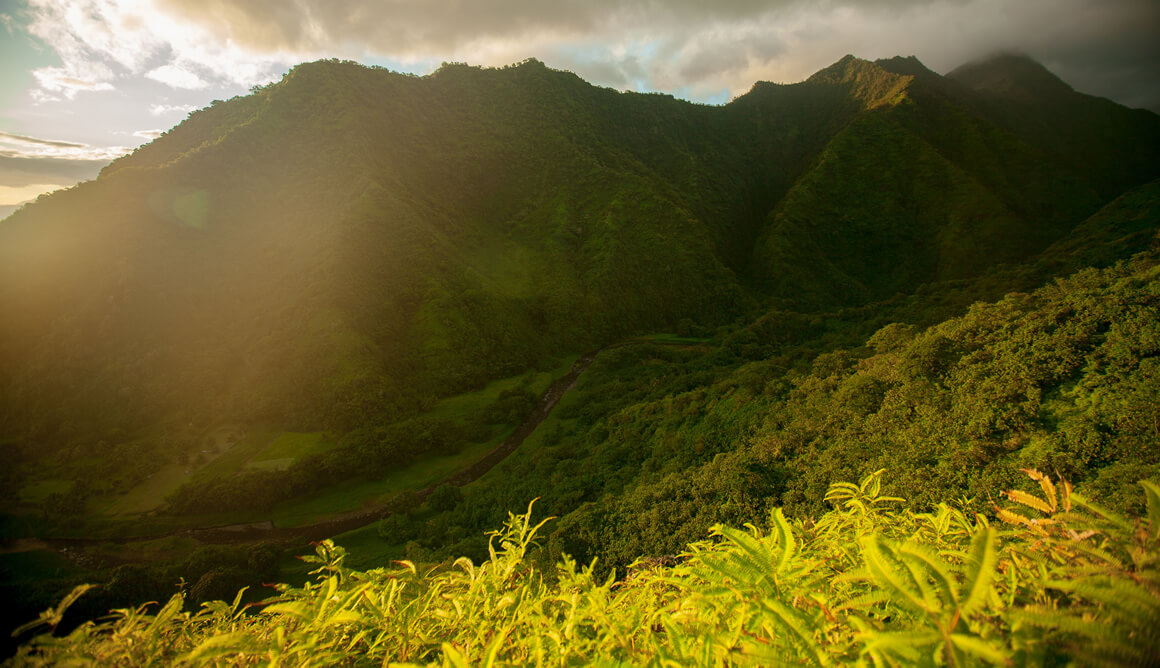 Moorea Teahupoo