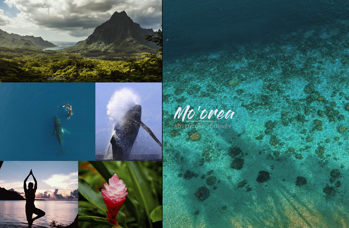 Moorea travel agent