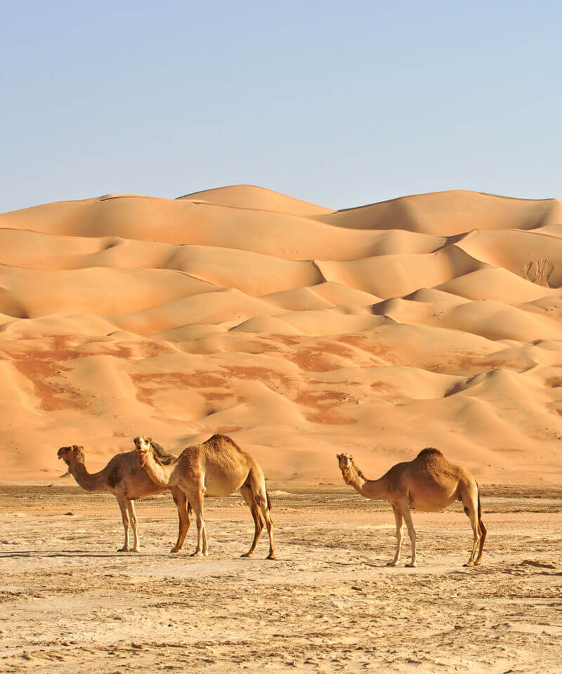 Afrika